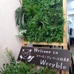 コワーキングスペース 秋葉原 Weeyble