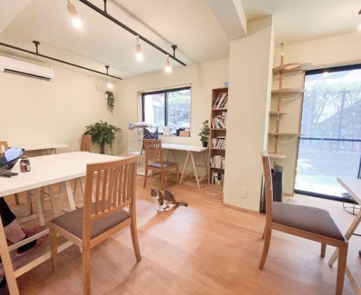 いいオフィス三軒茶屋