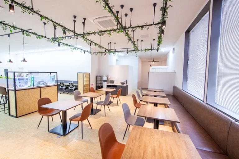 MYST（マイスタ）